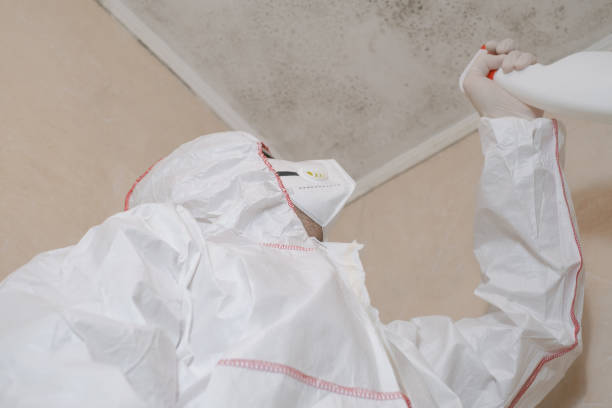 Best Residential Mold Removal  in Kathleen, FL