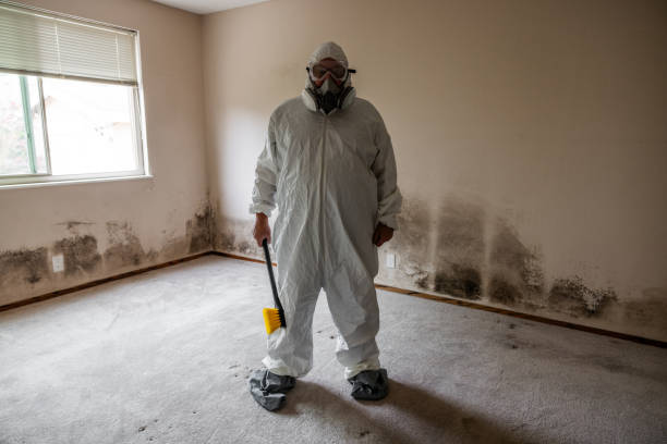 Mold Testing and Removal in Kathleen, FL